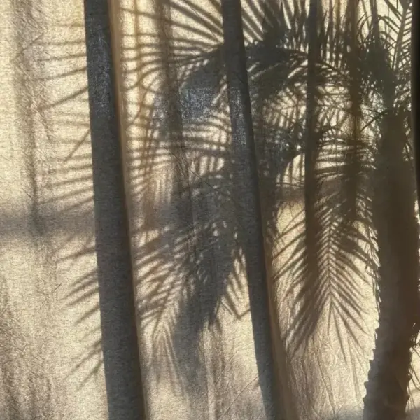 Accompagnements 1 Accompagnements à Sète